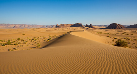Golden sand dunes stretching across a vast desert, serene landscape.
