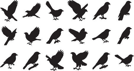 set of silhouettes of birds icons, vector pictogram