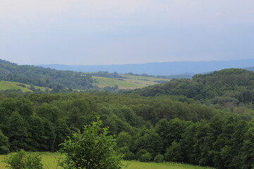 green forests against the backdrop of the Caucasus Mountains in the fog