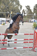 Equestrian Rider and Horse Clearing a Jump in a Showjumping Competition
