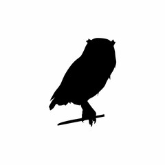 silhouette of a bird