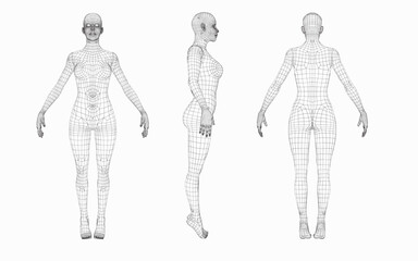 woman body  wireframe from different sides, front view,back view,side view, futuristic and technology