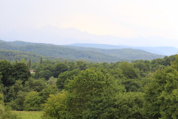 Obraz premium green forests against the backdrop of the Caucasus Mountains in the fog
