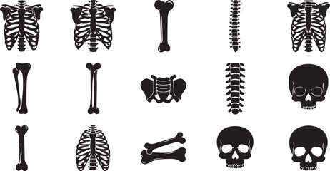 Spine and Bone Anatomy Icons