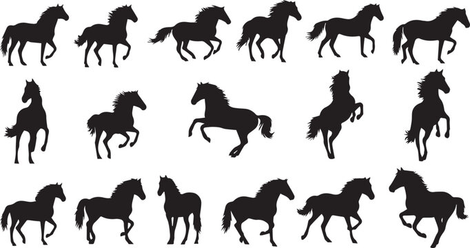 horse silhouettes collection