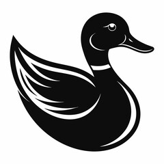 duck on white background