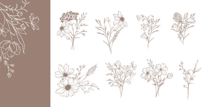 Trendy floral wildflowers and leaves line art illustration. Botanical Line Art Collection of wildflowers. Hand drawn line art graphics. Luxury Fine Line Floral Art. Perfect for Elegant wedding invite