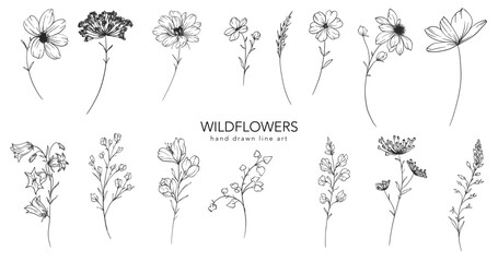 Trendy floral wildflowers and leaves line art illustration. Botanical Line Art Collection of wildflowers. Hand drawn line art graphics. Luxury Fine Line Floral Art. Perfect for Elegant wedding invite