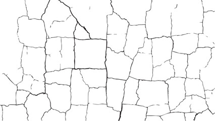 Vector grunge cracked texture. Black cracks isolated on white background. Abstract cracked texture .	