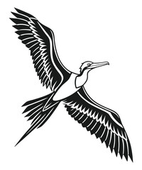 Graceful bird with outstretched wings