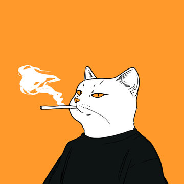 Smoking Cat