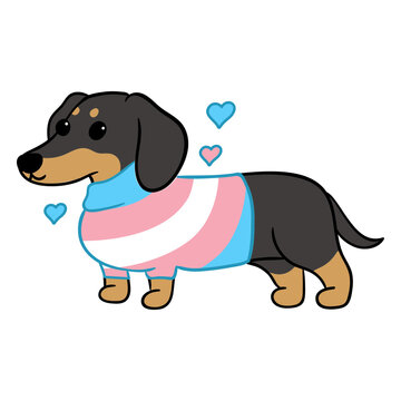 Dog trans flag