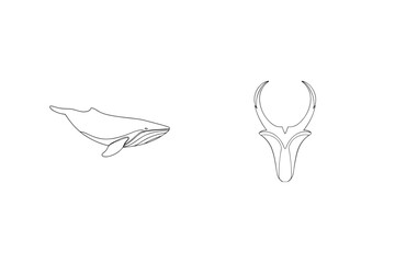 Detailed contour drawings of a whale and a stylized head shape against a white background