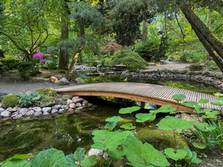 Ogród dendrologiczny mostek  © MR. Stanek