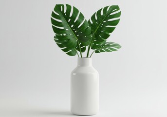 Monstera leaves in a white vase isolated on transparent background