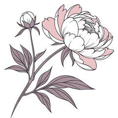 Whisper of Nature, Bend and Bloom, Dew Kiss, Swaying Grace, Organic Rhythm, Serene Arch, Floral Balance, Velvet Arc, Harmony in Green, Delicate Touch, Curved Lines,