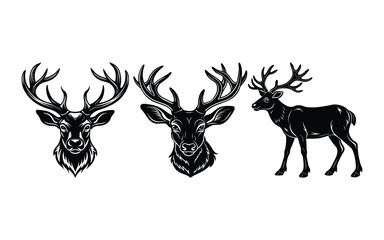 Realistic Deer Head Outline  Line Art Vector.

