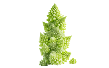 Romanesco broccoli spinning into a vibrant neon fractal pattern with glowing colors isolated on transparent background PNG
