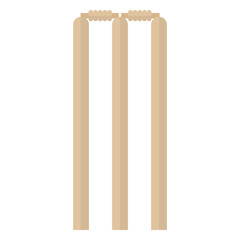 Cricket wicket semi flat