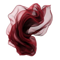 red rose on white background