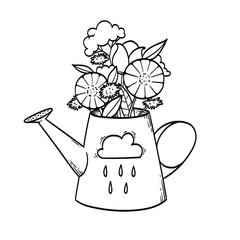 Vector hand drawn illustration of a bouquet in a watering can