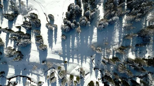 Winter and snow at Passo Pramollo. On the border between Italy and Austria