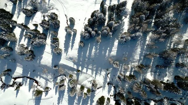 Winter and snow at Passo Pramollo. On the border between Italy and Austria
