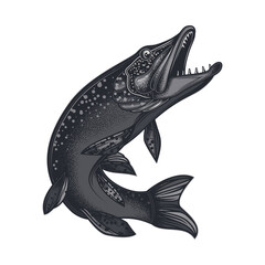 Original illustration in vintage style. Pike fish. T-shirt design, stickers, print.
