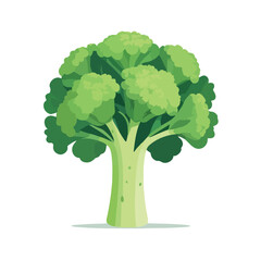 Broccoli Icon
