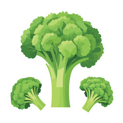 Flat Green Broccoli Vector