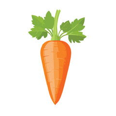 Carrot Icon