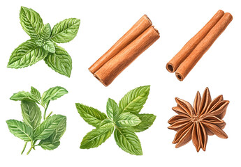 Collection of cinnamon sticks and mint