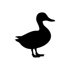 Obraz premium Duck silhouette standing vector illustration