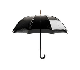 Umbrella with glossy black canopy and curved handle for rain protection