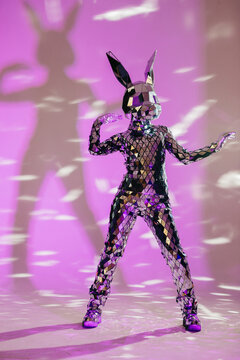 Fototapeta Mirror dancer performing in rabbit costume under purple lights