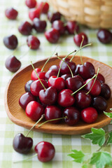 【アメリカンチェリー】初夏に収穫期を迎える情熱的な赤色がきれいな果実。果実酒やジャムなどにしても美味しくいただけます。