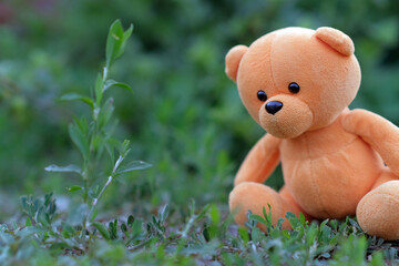 A plush teddy bear with vibrant orange fur is placed on the ground amidst lush green grass and plants enjoying the sunny atmosphere of a peaceful garden