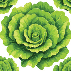 Flat Green Lettuce Vector