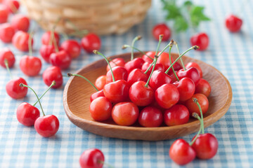 【さくらんぼ】初夏に収穫期を迎える黄色がかった桜色のかわいい果実。甘酸っぱく爽やかな味わいを楽しみます。