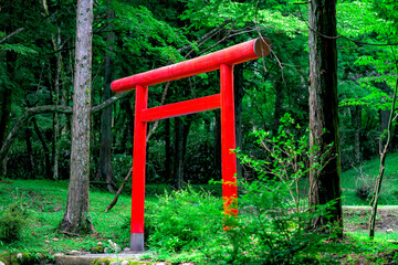  公時神社の境内に立つ美しい赤い鳥居　神奈川県箱根町
