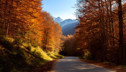 The paved road curves through an autumn forest with trees in yellow and orange tones.