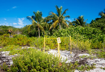A sea turtle nesting site on the beach in Sanibel, Florida