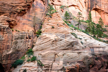 Sandstone cliffs in Zion National Park, Utah