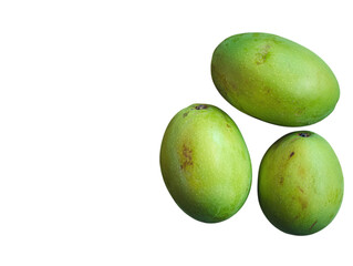 Obraz premium Fresh Green Mangoes: A close-up shot showcases three vibrant, fresh green mangoes against a clean backdrop, emphasizing their natural texture and tropical allure.