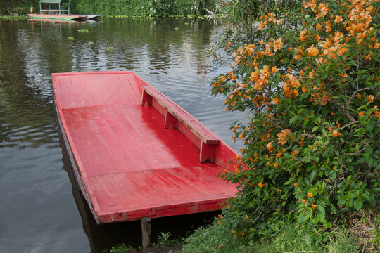 Vibrant red trajinera alongside blooming flowers at Xochimilco in Mexico