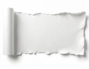 White torn paper with ripped edge on white background. Torn piece of paper scroll. Blank paper texture, copy space. Grunge design element for notes, messages, advertising, creative projects.