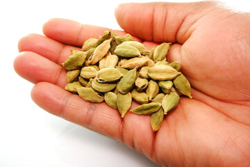hand full of cardamom dry seeds with white background close-up view selective focused 