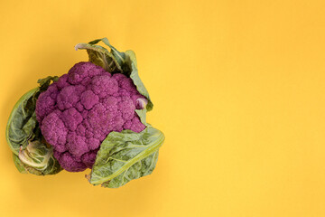 Bright purple cauliflower with green leaves on a rich yellow background. Juicy creative background...
