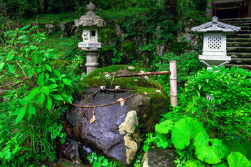  苔むした手水舎が美しい公時神社の静寂な森の中　神奈川県箱根町