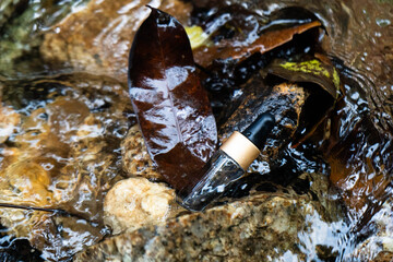 A bottle rests among leaves and branches in a moist environment, suggesting hydration.